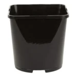 Aeroplas 2L Slotted Square Round Black (net of 70 / 56 nets per pallet) – Professional Propagation Pots with Integrated Label Slots