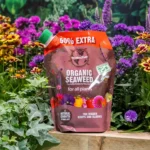 Organic Seaweed 50% Extra Free (1.2L) - Image 3