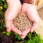 Organic Superfood All Plants (800g) - Image 4