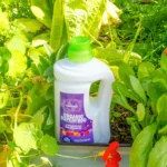 All Plants Organic Superfood (800ml) - Image 2