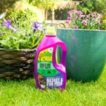 Greenfingers Basket & Tub Feed Concentrate (1.5L) - Image 2