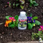 GET OFF Cat Repellent 500ml – Effective Training Aid to Deter Digging and Fouling in Gardens - Image 2