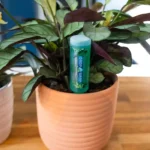 FITO Foliage Drip Feeder (1 x 32ml) - Image 2