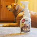 GET OFF Wash Off Indoor Cleaner Neutraliser 50% Extra Free 750ml – Dual-Action Indoor Stain and Odour Remover - Image 2