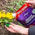 All Plants Organic Superfood 50% Extra Free (1.2L) - Image 2