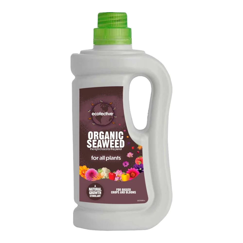 ECOFECTIVEOrganicSuperfoodOrganicSeaweed800mlBottle Organic Seaweed Growth Stimulant (800ml) - Image 1