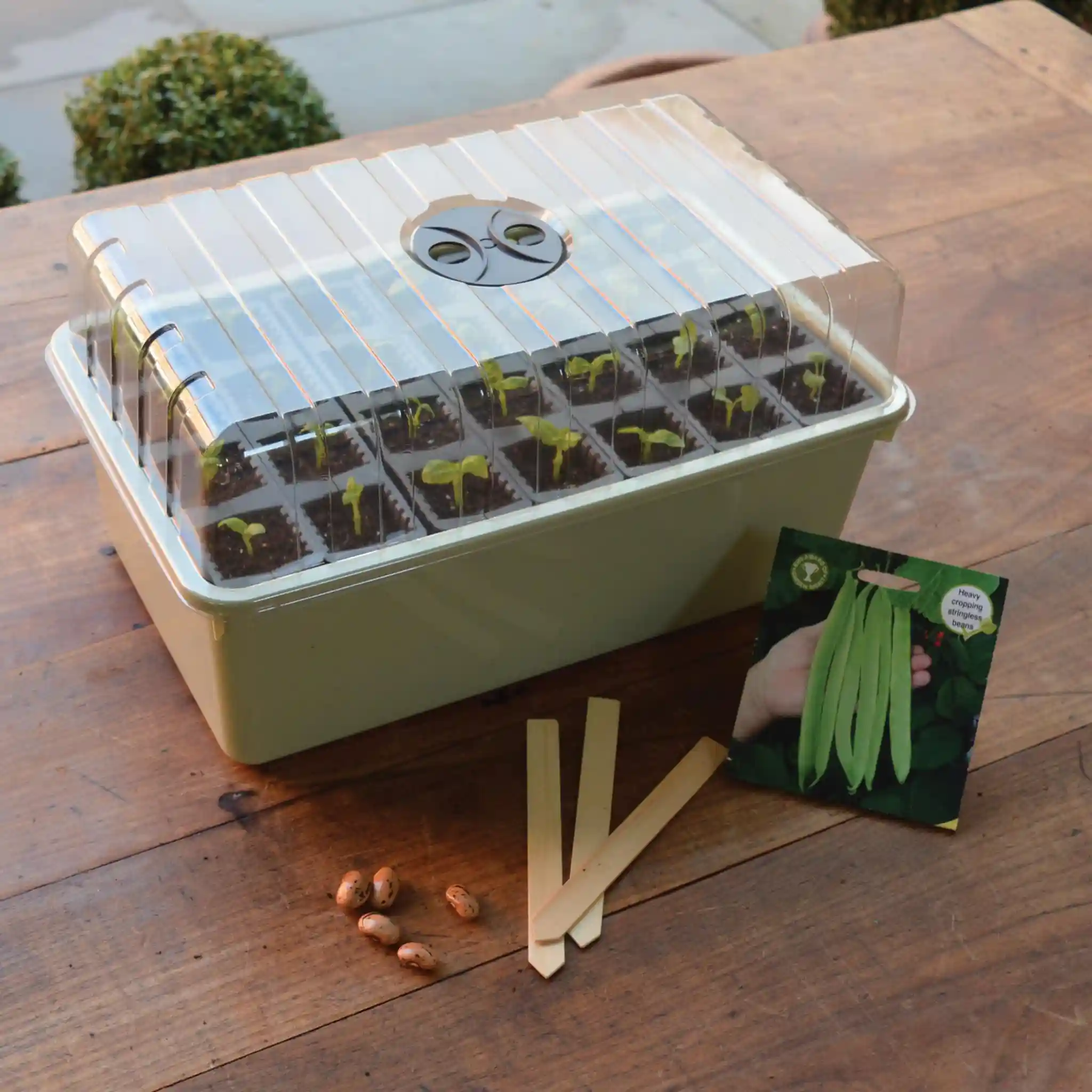 Garland 28 Cell Deep Root Success Kit (4 per box) - Propagation System - Image 7