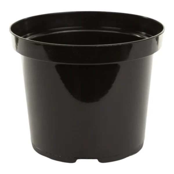 Aeroplas 10L Non-Slotted Round Container Pot Black (Pallet of 750) – Professional High-Volume Growing Pots for Large Perennials and Shrubs
