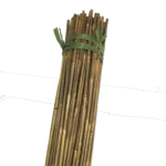 Extra Strong Bamboo Canes 3ft 10-12mm - Bale of 500