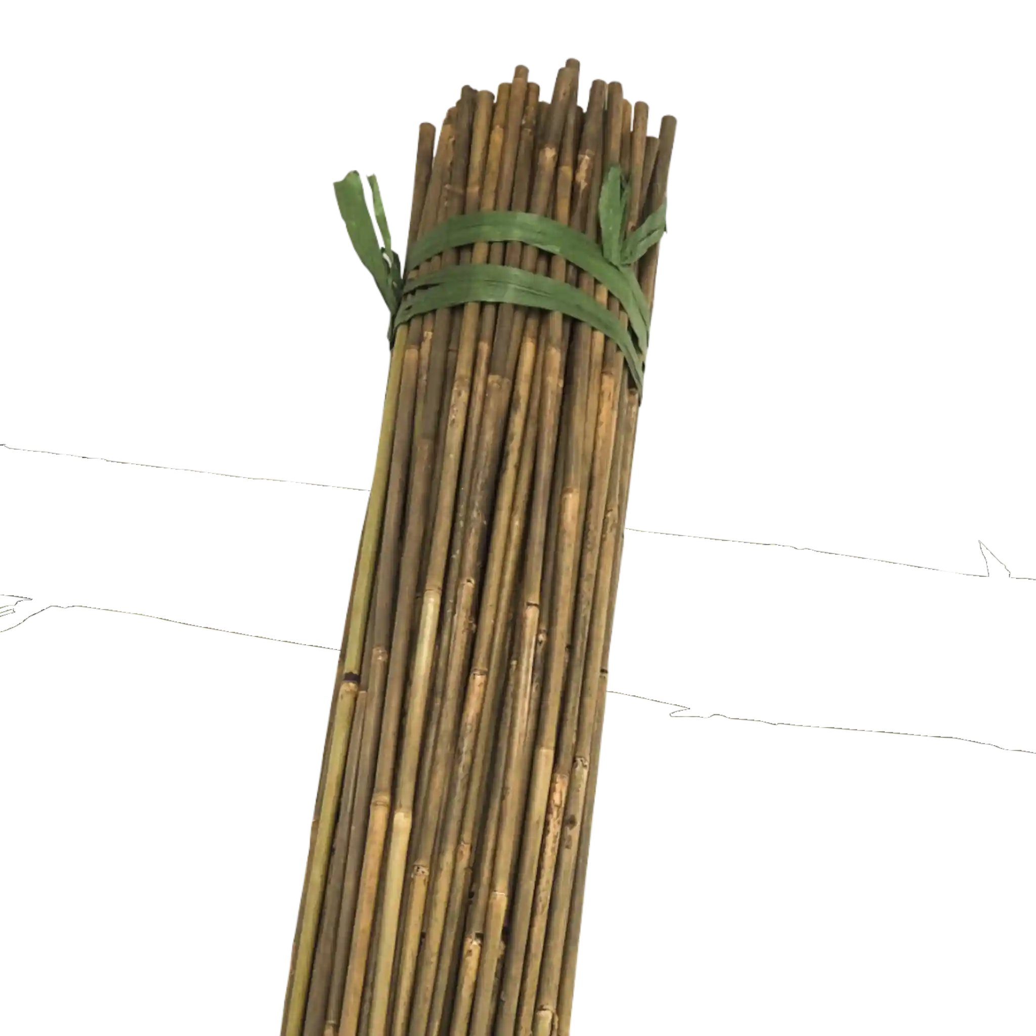 CREATIONBAMBOO Extra Strong Bamboo Canes 4' 14-16mm (Bale of 250) - Heavy Duty Support - Image 1
