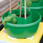 GARLAND Plant Halos Green - Set of 3 (4 per box) - Professional Watering & Support - Image 6