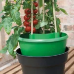 GARLAND Plant Halos Green - Set of 3 (4 per box) - Professional Watering & Support - Image 4