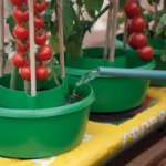 GARLAND Plant Halos Green - Set of 3 (4 per box) - Professional Watering & Support - Image 2