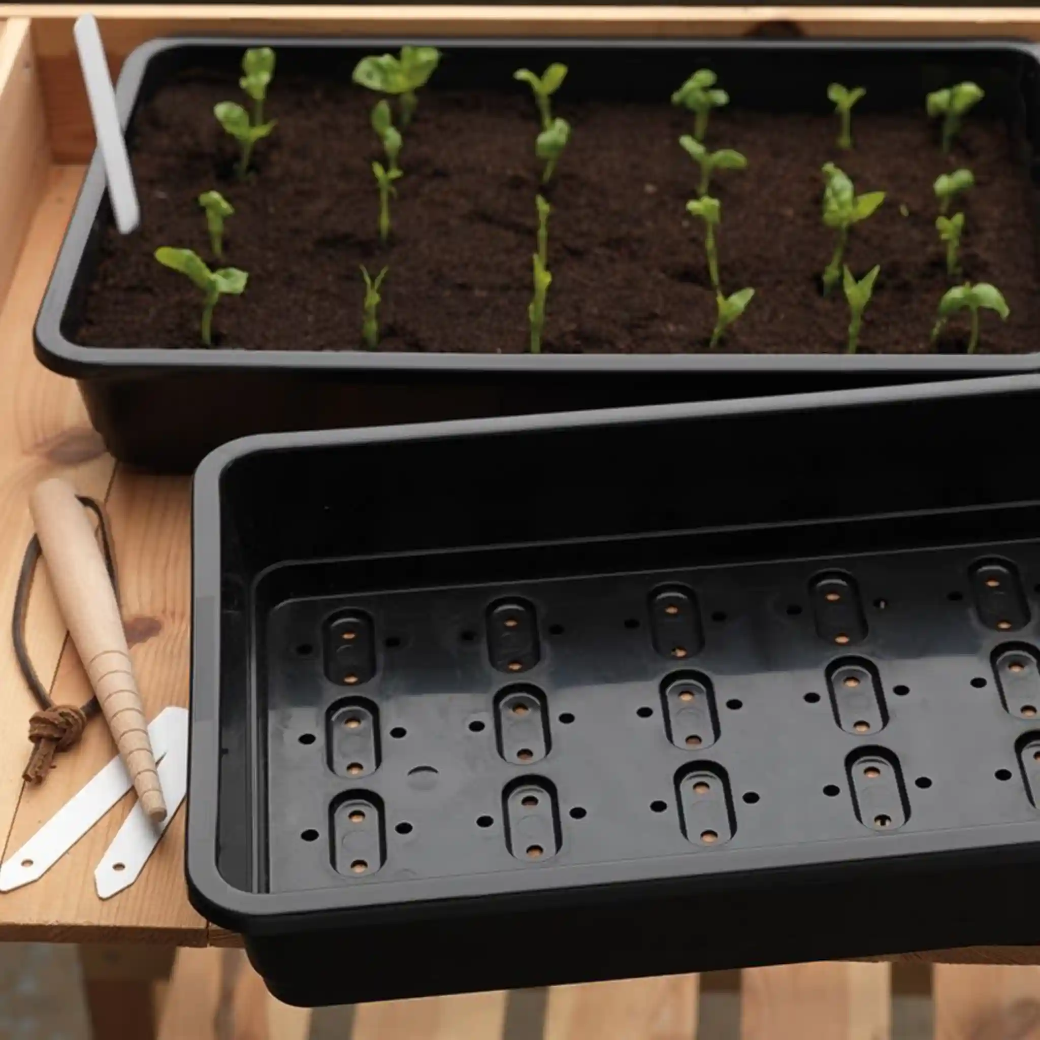 Garland Standard Seed Tray Black With Holes (25 per box) - Professional Propagation Tray - Image 4