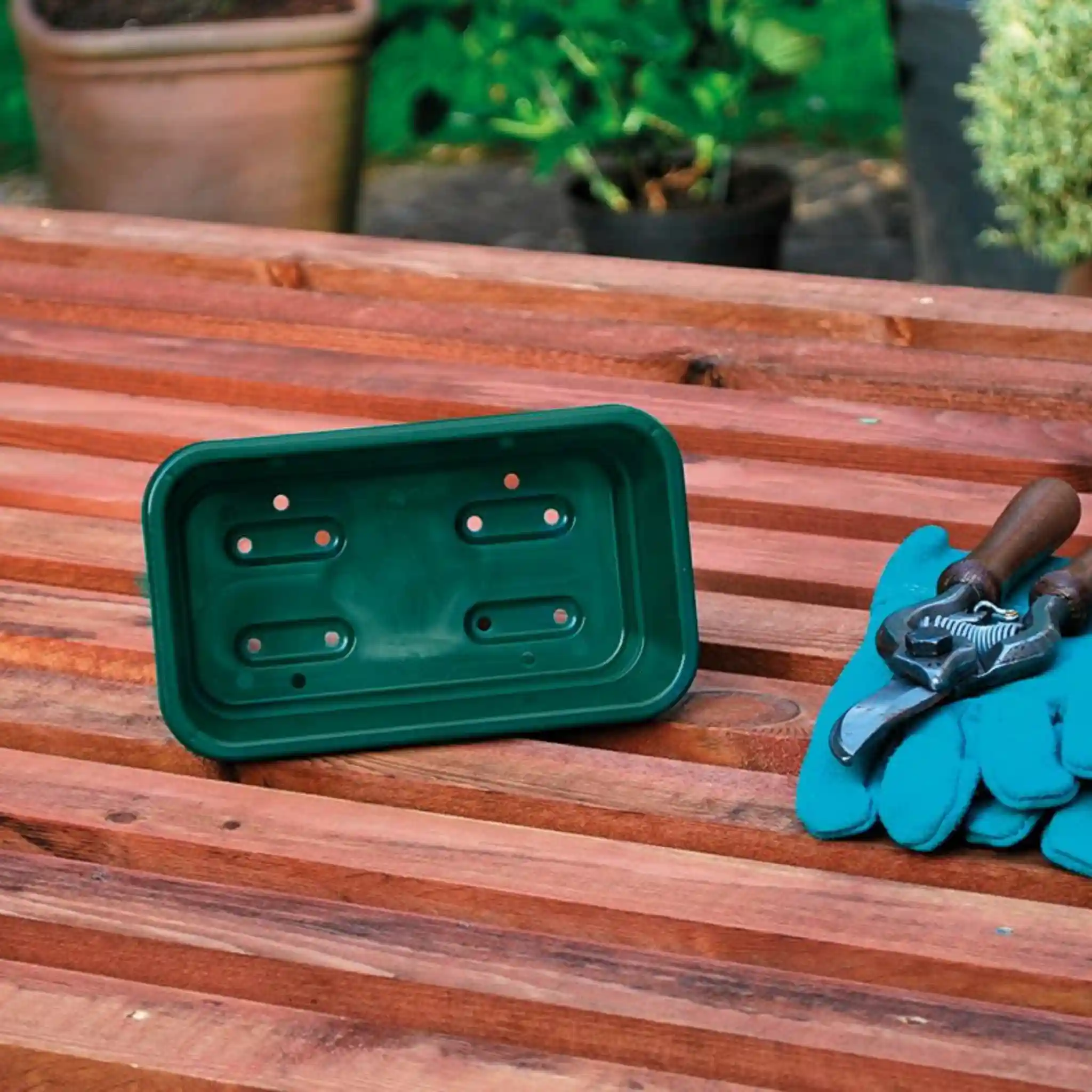 Garland Mini Seed Tray Green With Holes (50 per box) - Propagation Starter Tray - Image 2