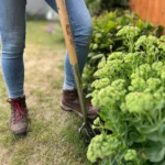 Growers Own Stainless Steel Border Fork w/Ashwood Handle – Built for Professional Growers - Image 3