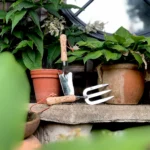 Growers Own Stainless Steel Hand Fork w/ Ashwood Handle – Professional Tool for Precision Cultivation and Weeding - Image 2