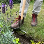 Growers Own Stainless Steel Lawn Edger w/Ashwood Handle – Professional Tool for Sharp, Defined Garden Borders - Image 2