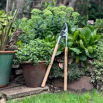 Growers Own Stainless Steel Bypass Lopper w/ Ashwood Handle – Heavy-Duty Pruning Tool for Professional Results - Image 4