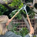 Growers Own Stainless Steel Bypass Lopper w/ Ashwood Handle – Heavy-Duty Pruning Tool for Professional Results - Image 3
