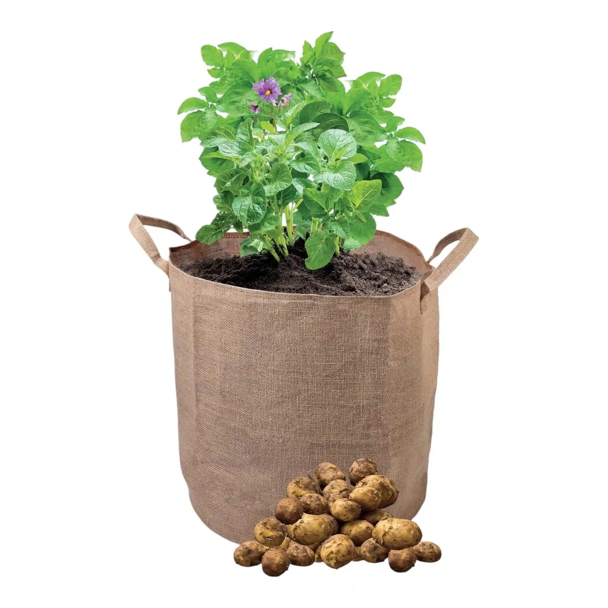 GarlandJutePotatoBag2 Garland Jute Potato Bag (15 per box) - Natural Eco-Friendly Grow Bag - Image 1