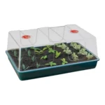 Garland XL High Dome Propagator Without Holes (3 per box) - Premium Propagation
