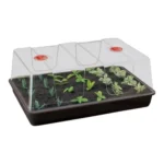 Garland XL High Dome Propagator Without Holes (3 per box) - Premium Propagation - Image 2