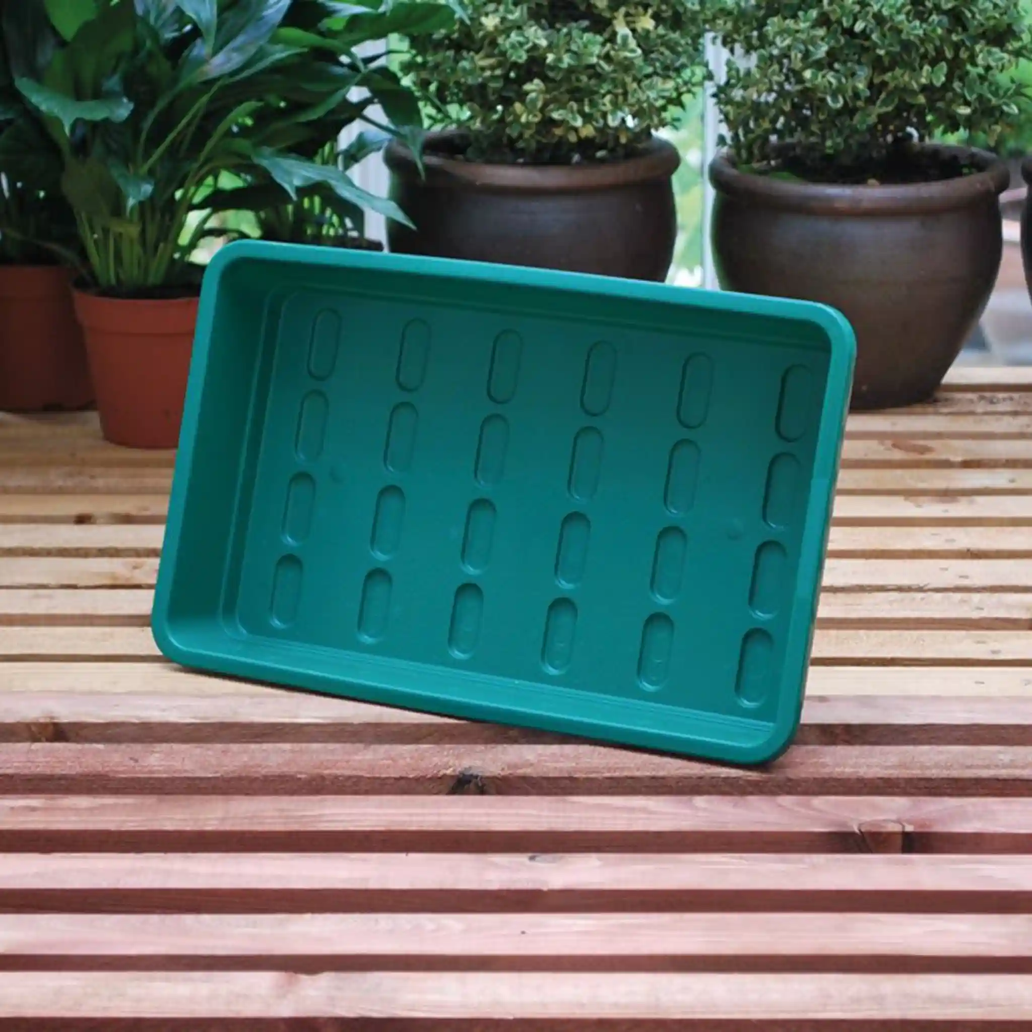 Garland Midi Garden Tray Green Without Holes (25 per box) - Bulk Propagation Tray - Image 2