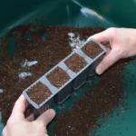 Garland 28 Cell Deep Root Plant Cells (6 per box) - Propagation Kit - Image 4