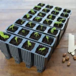 Garland 28 Cell Deep Root Plant Cells (6 per box) - Propagation Kit - Image 2