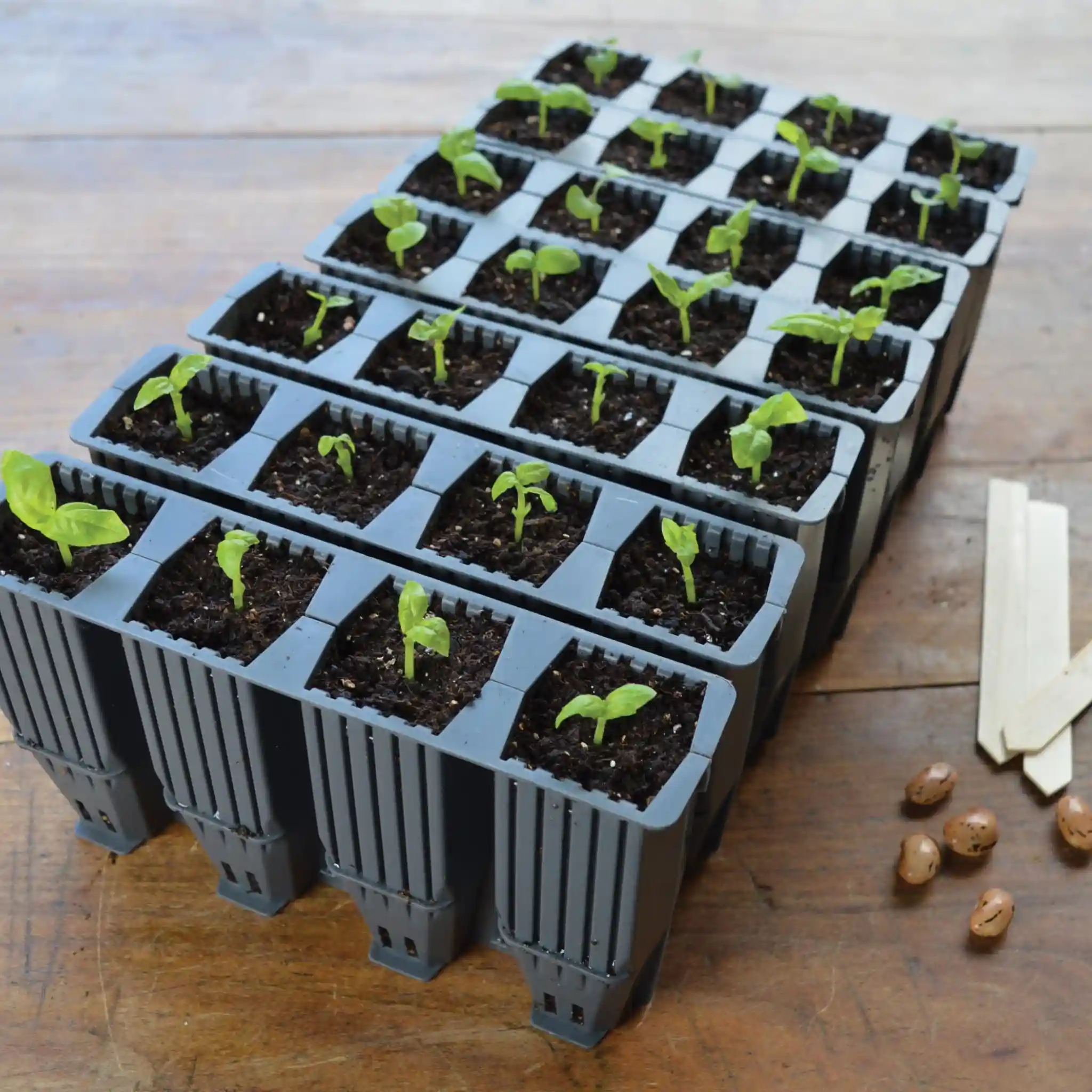 Garland 28 Cell Deep Root Plant Cells (6 per box) - Propagation Kit - Image 2