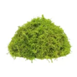 Fresh Sphagnum Moss Bag (50 per Pallet) - Premium Basket Liner