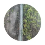 Professional Insect Netting 65gsm - 1M x 100M Crop Protection
