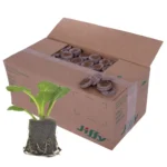 Jiffy Pellets J7 3070 Peatcoir PLA 39 x 39mm (Box of 1000) - Eco-Friendly Propagation