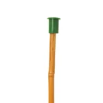 Cane Cap for Large Thick Canes GREEN (Box of 1000) - Safety Support