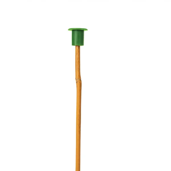 Green Caps for Thin Bamboo Canes (Box of 1000) - Safety & Display