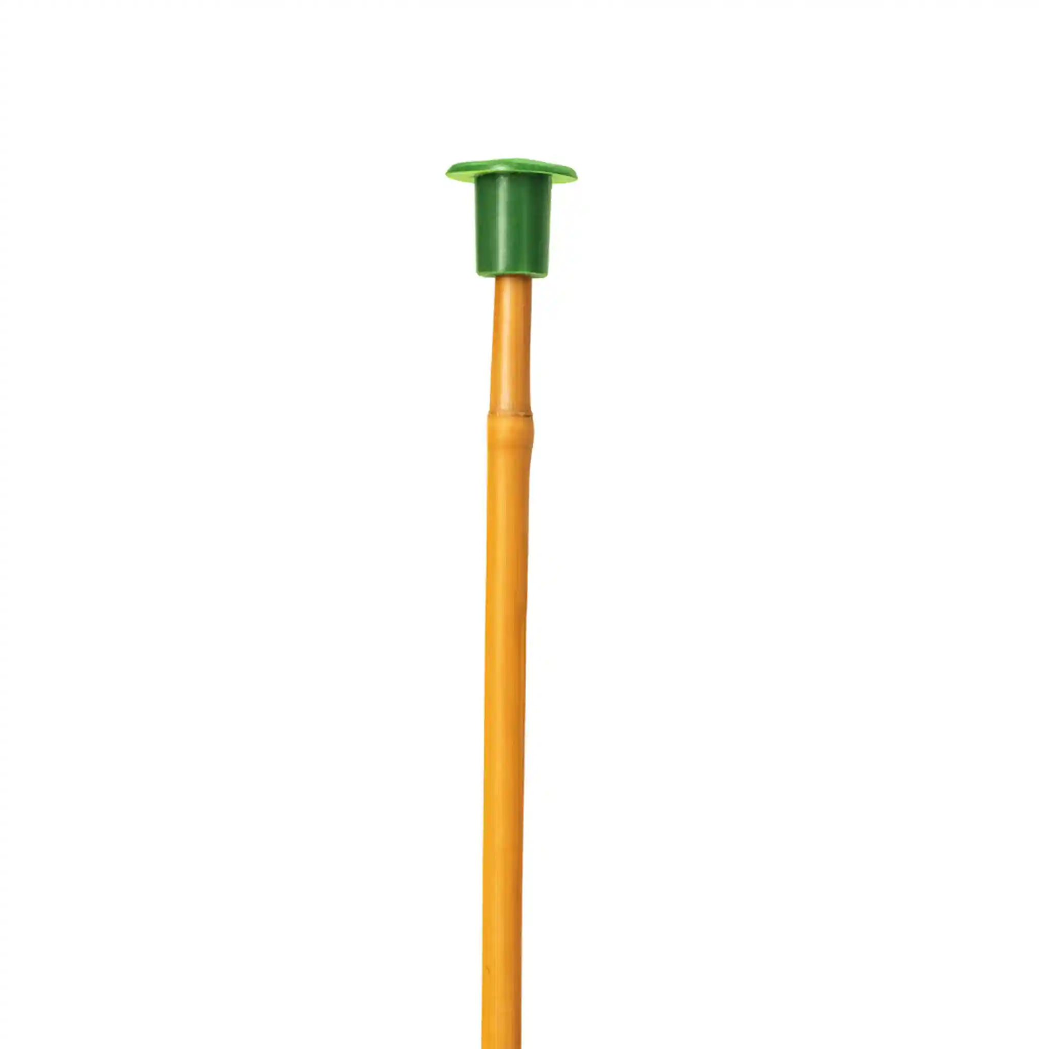 TyneMould_Machinery_StandardGreen Green Caps for Standard Bamboo Canes (Box of 1000) - Safety & Display - Image 1