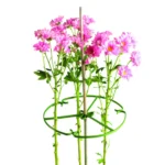 Plant Ring Segmented 30cm (12") Diameter Green - Box of 100