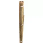 Growers Own Bamboo Canes 90cm 8-10mm (10 per pack) - Durable Plant Support